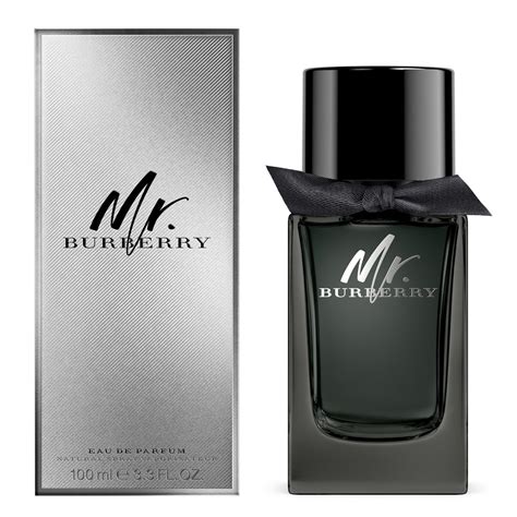 mr burberry parfum 100 ml|mr Burberry perfume price.